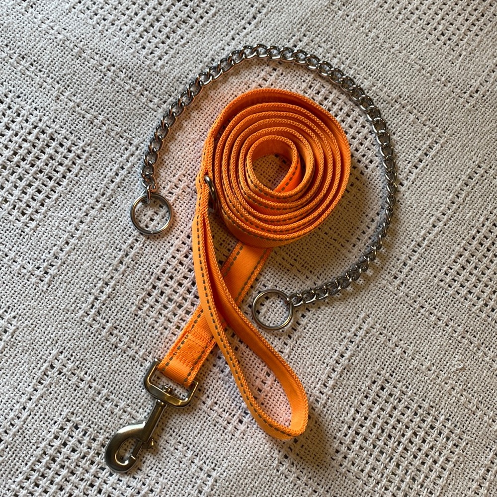 NWOT 6’ Dog Puppy Reflective Leash and 18” Training Silver Chain Slip Collar